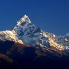 Machhapuchhre Modèle Trekking, 8 Jours