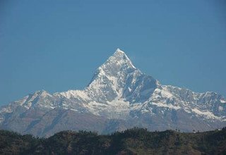 Machhapuchhre Modell Trekking, 8 Tage