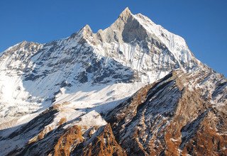 Machhapuchhre Modèle Trekking, 8 Jours