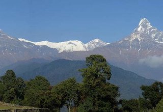 Machhapuchhre Modell Trekking, 8 Tage