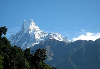 Machhapuchhre Modell Trekking, 8 Tage