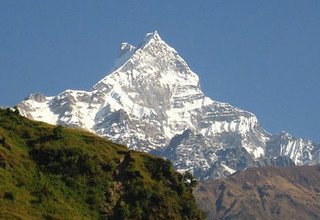 Machhapuchhre Modell Trekking, 8 Tage