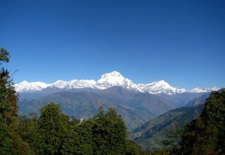 Randonnée à cheval au panorama de l'Annapurna (avec ou sans enfants), 10 Jours