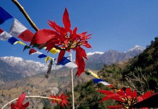 Gosaikunda Lake and Helambu Trek traverse Lauribinayak-La Pass, 10 Days