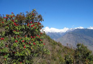 Gosaikunda Lac et Helambu Trek traversée via Lauribinayak-La Pass, 10 Jours