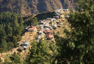 Gosaikunda See und Helambu Trek über den Lauribinayak-La Pass, 10 Tage