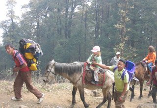 Gosaikunda See und Helambu Trek über den Lauribinayak-La Pass, 10 Tage