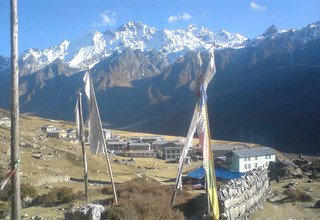 Randonnée Langtang Ganja-La Pass, 15 Jours