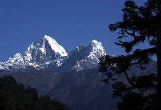 Trekking du col Tilman, 20 Jours