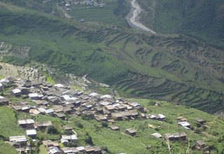 Circuit de l'héritage Tamang, vallée du Langtang, lac Gosaikund et Helambu Trek, 22 Jours