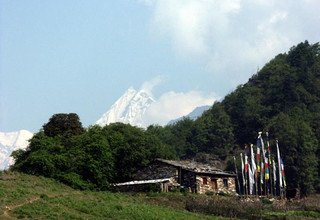 Circuit de l'héritage Tamang, vallée du Langtang, lac Gosaikund et Helambu Trek, 22 Jours