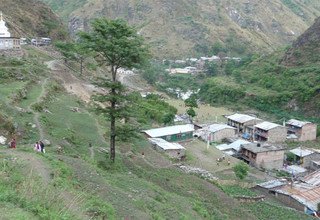 Circuit de l'héritage Tamang, vallée du Langtang, lac Gosaikund et Helambu Trek, 22 Jours