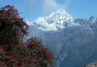 Circuit de l'héritage Tamang, vallée du Langtang, lac Gosaikund et Helambu Trek, 22 Jours