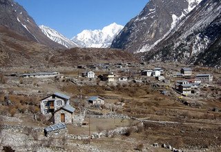 Circuit de l'héritage Tamang, vallée du Langtang, lac Gosaikund et Helambu Trek, 22 Jours