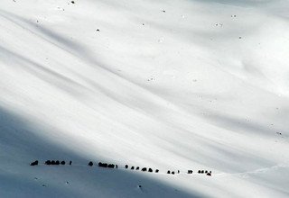 Dolpo Jomsom Trek traverse Musikhola and Jugben-La Pass New Route, 17 Days