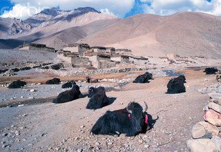 Unterer Dolpo Trek, 18 Tage