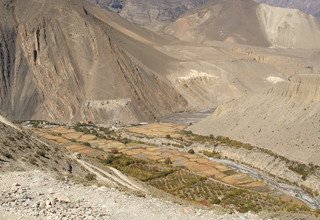 Dhorpatan Dolpo Trek, 30 Days