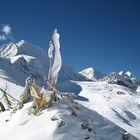 Jumla Dolpo Trek traverse Kagmara-La Pass, 25 Days