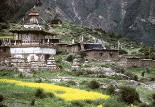 Phoksundo Lake Trek, 11 Days