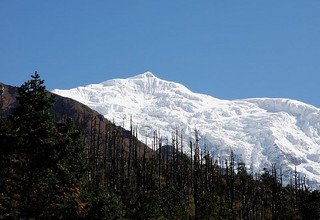 Besteigung des Larkya Peak | Larkya Gipfel 6249m - 20 Tage