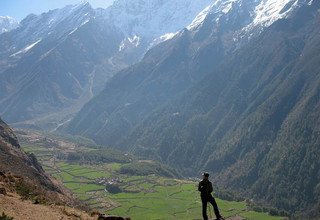 Tsum Valley and Manaslu Trek traverse Larkya-La Pass, 23 Days