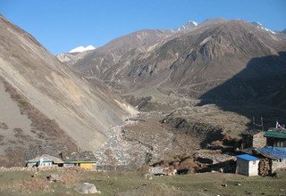 Tsum Valley and Manaslu Trek traverse Larkya-La Pass, 23 Days