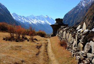 Rupina-La Pass und Tsum-Tal Trek, 20 Tage