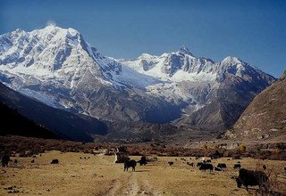 Randonnée dans la vallée de Tsum - 16 Jours