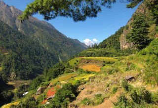 Randonnée dans la vallée de Tsum - 16 Jours