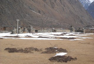 Randonnée dans la vallée de Tsum - 16 Jours