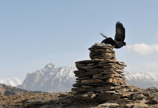 Rolwaling Valley Trek, below Gaurishankar and off the beaten trail, 20 Days