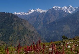 Great Himalaya Trail - Langtang to Manaslu Region, 50 Days