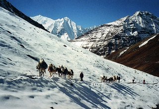 Great Himalaya Trail - Dolpo à Mugu Region, 34 Jours