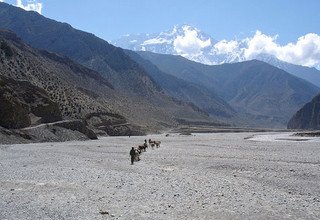 Great Himalaya Trail - Dolpo to Mugu Region, 34 Days