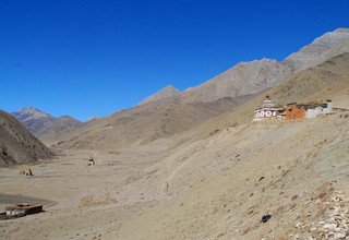 Great Himalaya Trail - Dolpo to Mugu Region, 34 Days