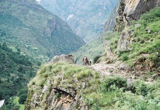 Great Himalaya Trail - Mugu to Humla Region, 30 Days