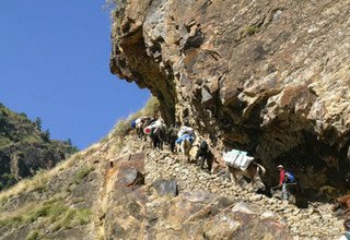 Jumla to Simikot via Rara Lake (Mugu-Humla) Camping Trek, 20 Days