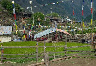 Rund um den Manaslu-Trekking, 12 Tage | Gruppenreise - Trek mit fixen Daten 2024