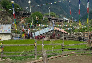 Around Manaslu Trek, 12 Days | Group Joining Trip 2024