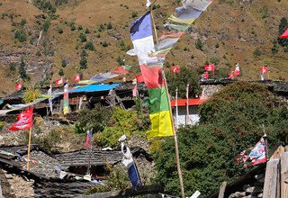 Trek autour du Manaslu, 12 Jours | Voyages en groupe - Trek au départ fixe 2024