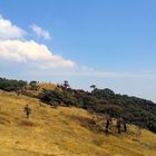 Trekking to Chin Hills (Mt. Victoria)  (9 Days / 8 Nights)
