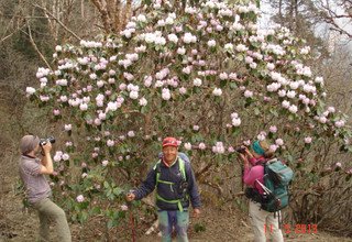 Dolpo and Rara Lake Camping Trek April 29 — May 22, 2013