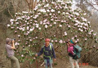 Dolpo and Rara Lake Camping Trek April 29 — May 22, 2013