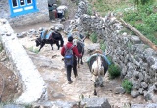Everest Panorama Lodge Trek and Chitwan Tour and Nagarkot Tour 21 Days ,from 22 April to 20 May 2016 