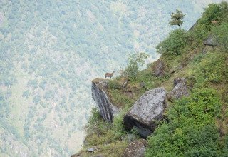 From Lukla to Maratika Cave via Pike Peak 4065m Basic Lodge Trek and voluntary work, 30 Days 29 Sep to 28th Oct 2015 