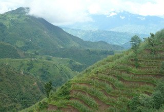 Yolmoland Family Lodge Trek and Chitwan Tour, 14 Day 9 August to 22 August 2014