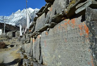 Classic Langtang Family Lodge Trek 13 Days, 02 Dec to 14 Dec 2012