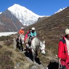 Classic Langtang Family Lodge Trek 13 Days, 06 Oct to 18 Oct 2012