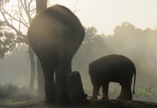 Ghorepani-Ghandruk Circuit (Poon Hill) Family Lodge Trek and Chitwan National Park Tour, 11 Days Arriving 21 October to 31 October 2016