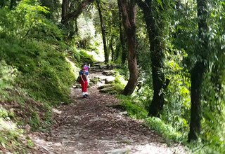 Ghorepani-Ghandruk Circuit (Poon Hill) Family Lodge Trek, 9 Days ,From 5th August and 13th August 2016